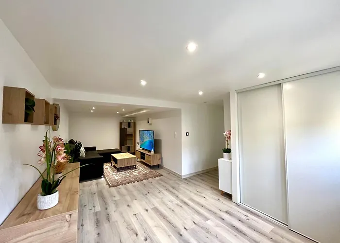 Beau T3 A 15 Min De Lyon Апартаменты