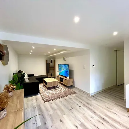 Beau T3 A 15 Min De Lyon Apartment *
