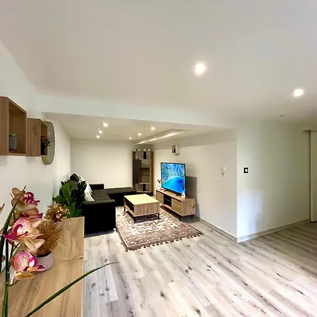 Apartment Beau T3 A 15 Min De Lyon *